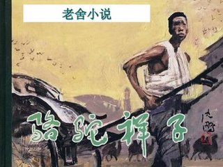 猫咪在线观看免费
